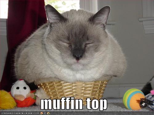 muffin.gif