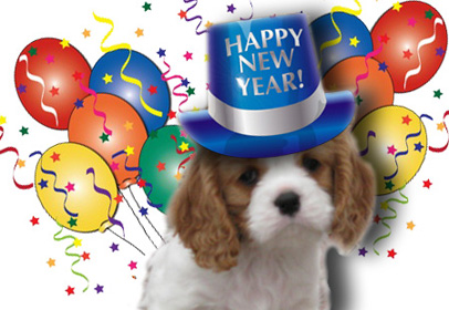 new-year-puppyballoons.jpg