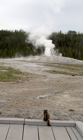 oldfaithful.gif