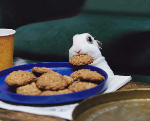 other2.jpg
