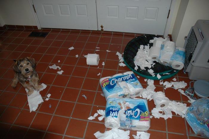 papermess.gif