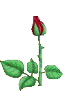 pic2a.gif