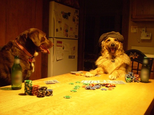 pokernight.gif