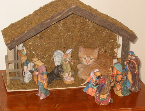 pushing_mary_out.jpg