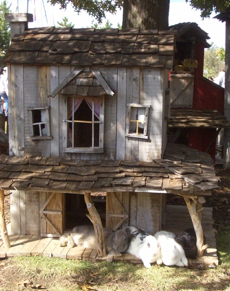rabbithouse11.jpg