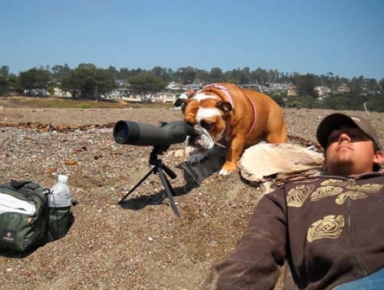 scope.jpg