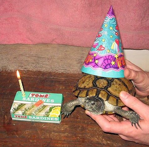 seaweed_birthday_022.jpg