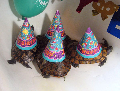 seaweed_birthday_024.jpg