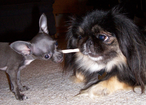 sharing.jpg