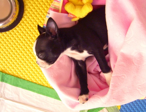 sleepbaby22.jpg