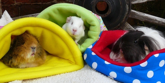 slumberparty.jpg