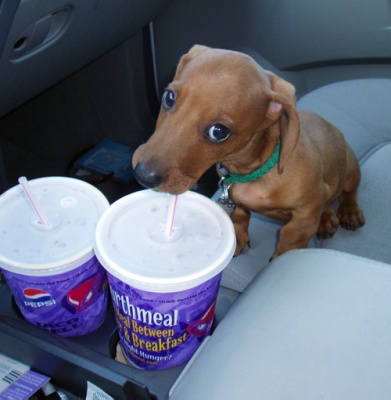 slurrrrrrrrrrp.jpg