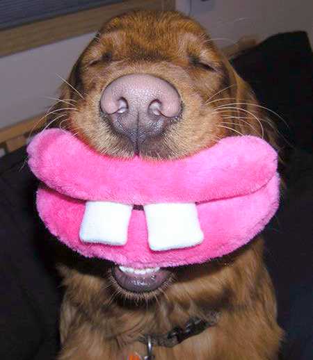 smile.jpg