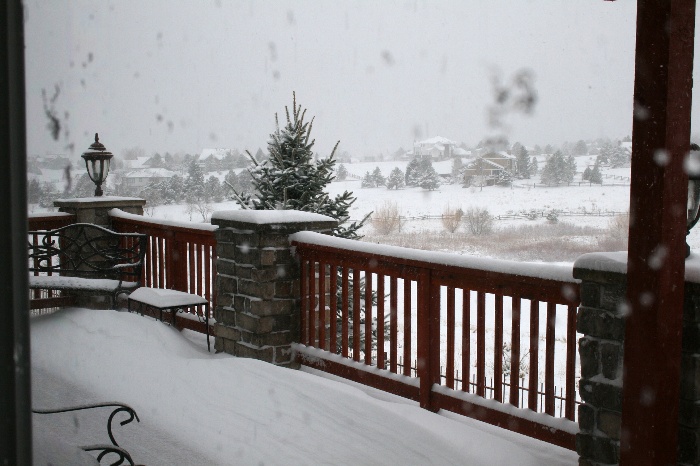 snowapr2008.jpg
