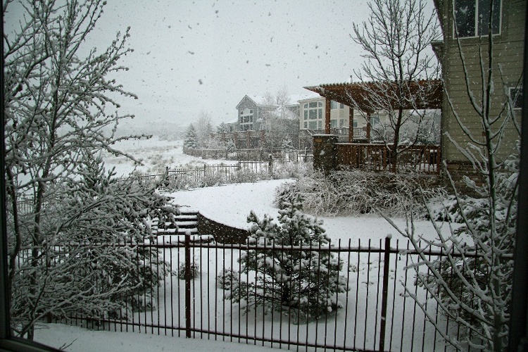 snowapril172009bb.jpg