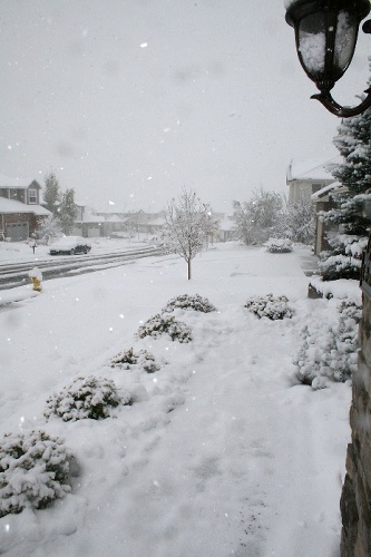 snowpic2.jpg