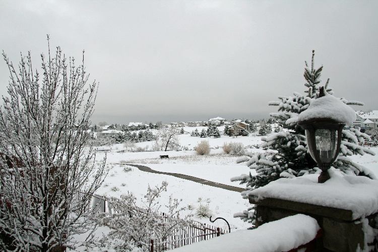 snowtoday03.jpg