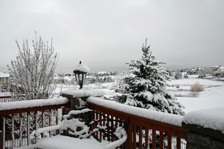 snowtoday04.jpg