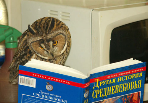 spahseebah.jpg