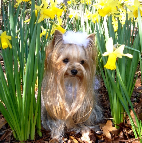 springbaby4.jpg
