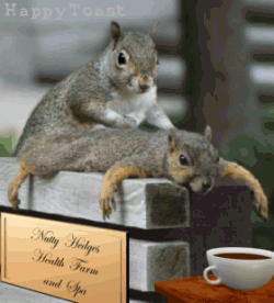 stressfree.gif