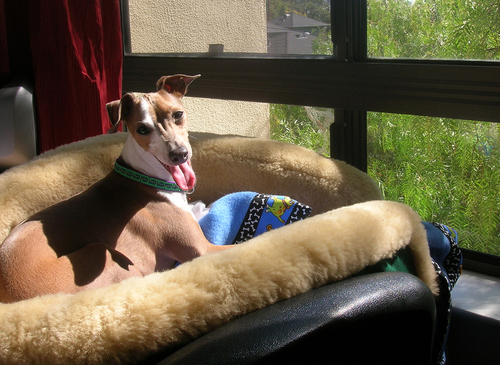 sunbeam.jpg