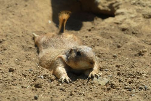 sunnin.gif