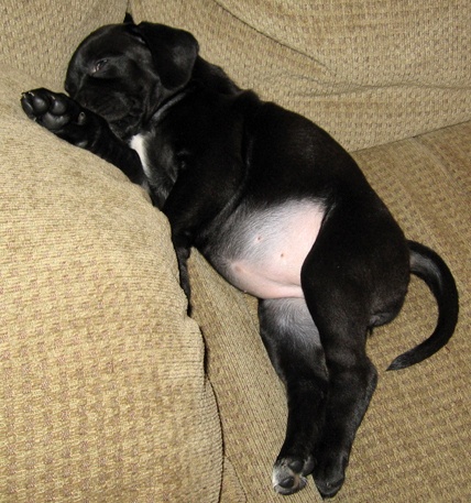 sweettummy22.jpg