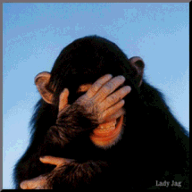 test6.gif