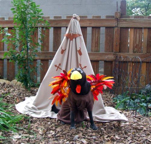 thanksgivingeve3.jpg