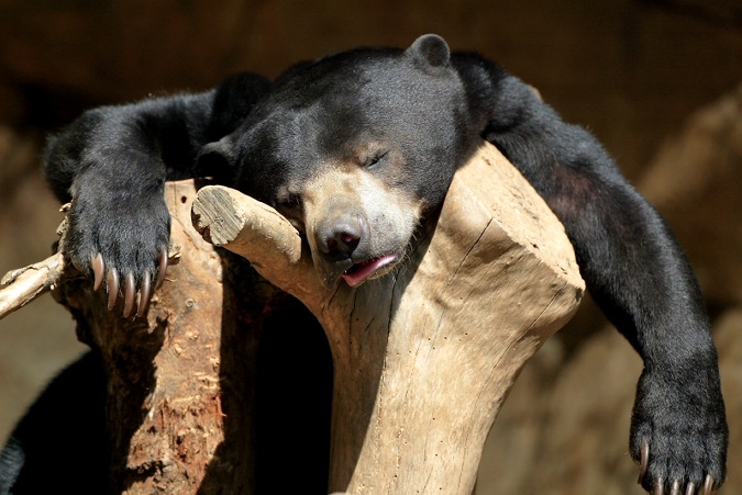 tired2.jpg