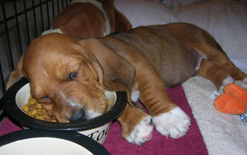 tootired.jpg