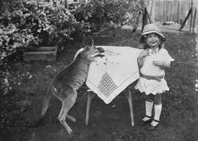 vintage1.jpg