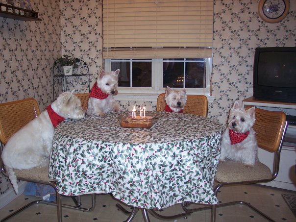 westiebirthday.jpg
