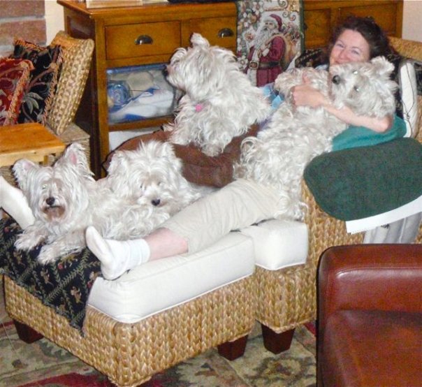 westiesonher.jpg
