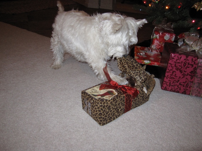 xmas2009tiff03.jpg