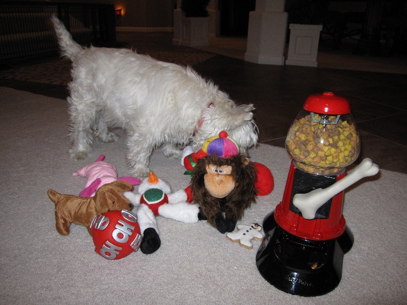 xmas2009tiff17.jpg