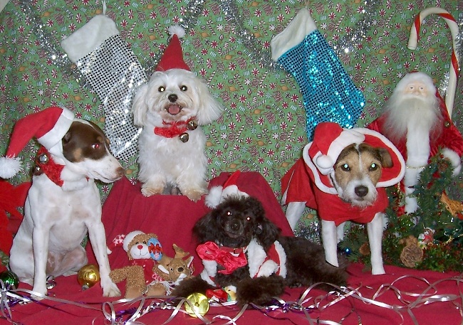 xmas3.jpg