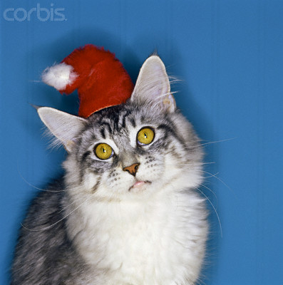 xmas9.jpg