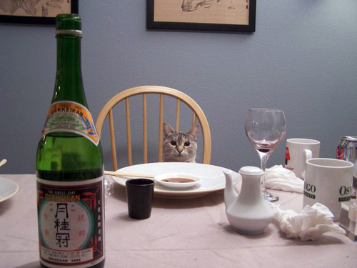zoe_sushi.jpg