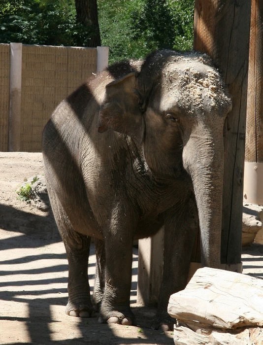 zoo11.jpg
