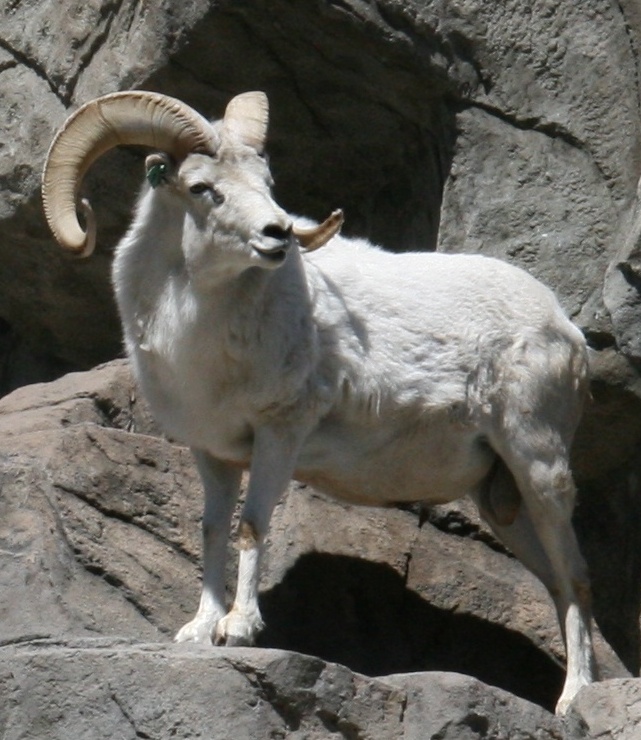 zoo14.jpg