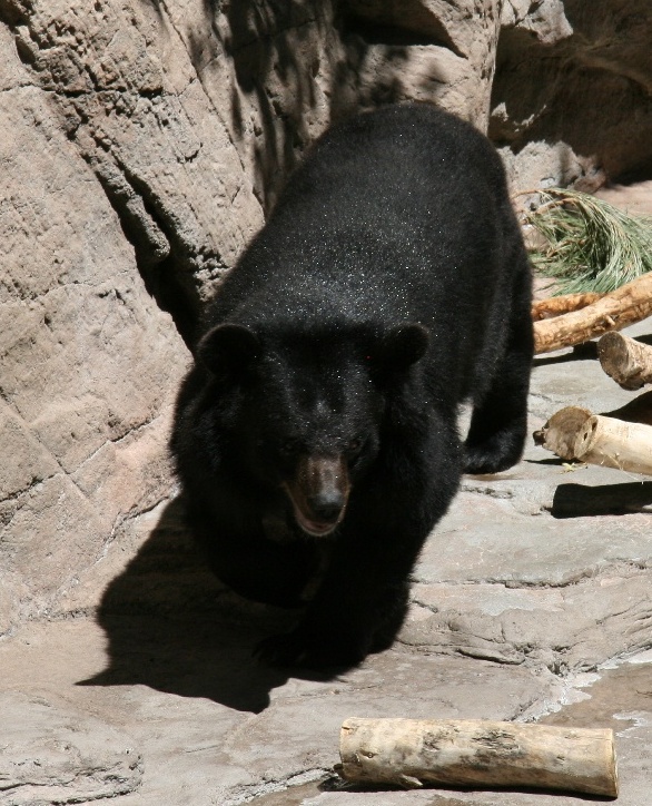 zoo19.jpg