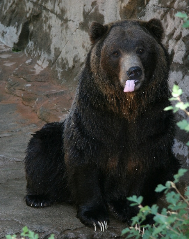 zoo22.jpg