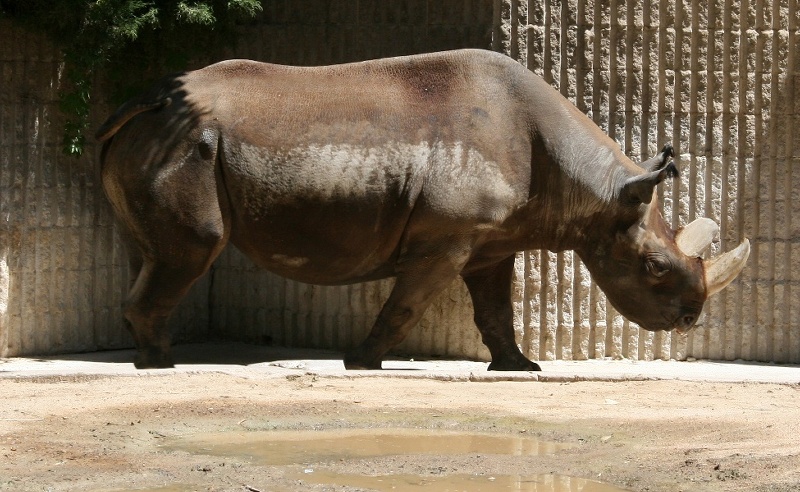 zoo25.jpg