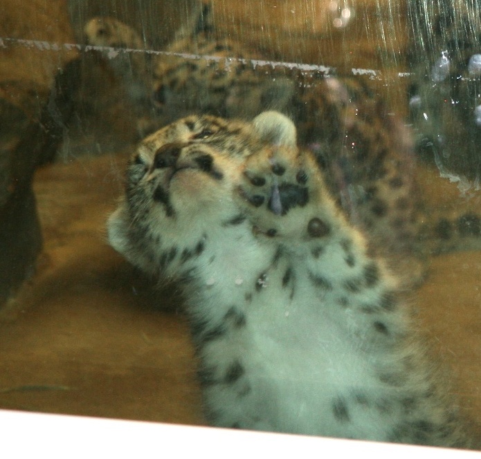 zoo40.jpg