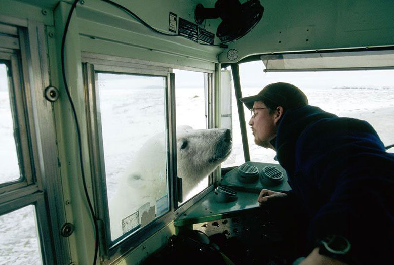 Polar20bear20and20human_edited.jpg
