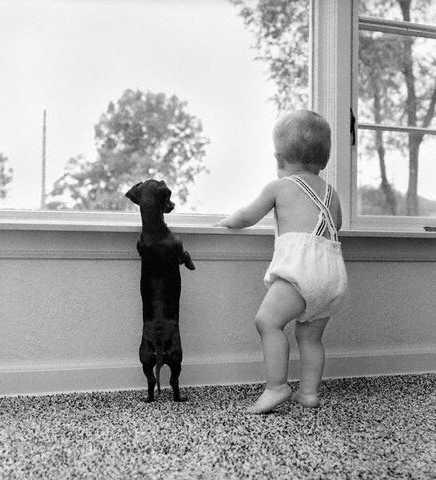 dogandbabyatwindow024.jpg