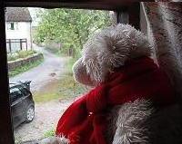 1348521634_bear_window_small.jpg