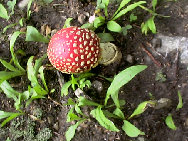 aug2006029.JPG